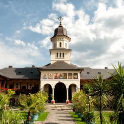 Topliţa 10 guest houses