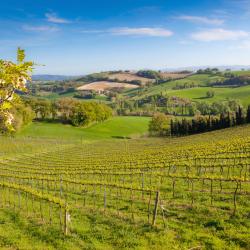Montecchio Emilia 4 hot&eacute;is com estacionamento