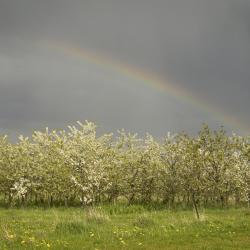 Noi Vulmštorfas 7 viešbučiai