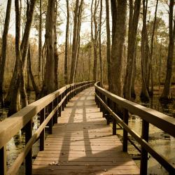 Yazoo City 5 hotels