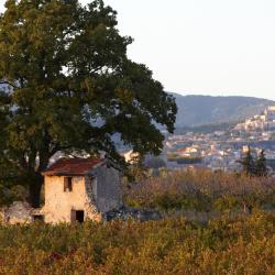 Le Barroux 15 holiday homes