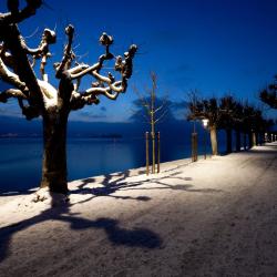 Wädenswil 3 gîtes