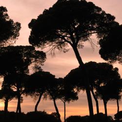 Aroche 10 accommodation