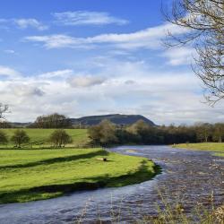 Longridge 12 pet-friendly hotels