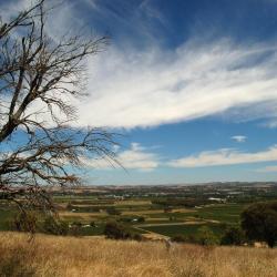 Tanunda 28 of the villas