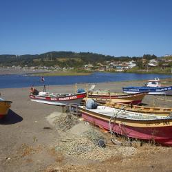 Curanipe 6 beach rentals