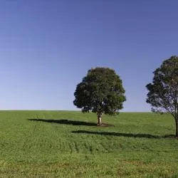 리베라