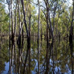 Moama 48 hotels