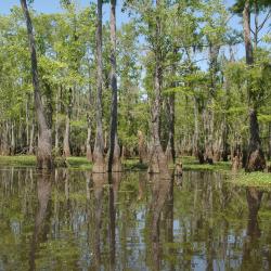 Denham Springs 12 hotels