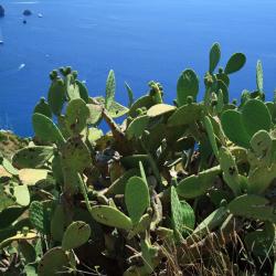 Fiumefreddo di Sicilia 60 hotelli