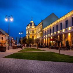 Sfântu Gheorghe 30 hotel