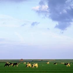 Groede 4 Hütten