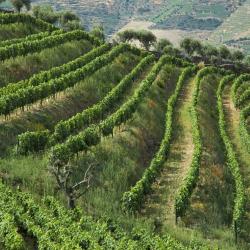 Vale de Cambra 4 barrierefreie Hotels