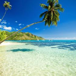Moorea