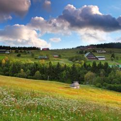 Vrchlabí 5 cabins
