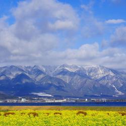 守山市 ホテル8軒