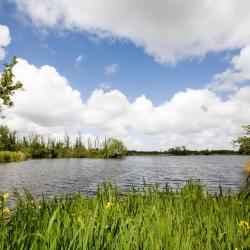 Vinkeveen 5 barcos