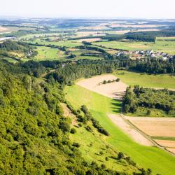 Giengen an der Brenz 8 hoteles