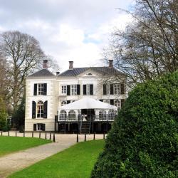 Ommen 21 cottages