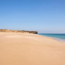 Al Khafji 4 beach rentals