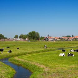 Almen 5 holiday rentals