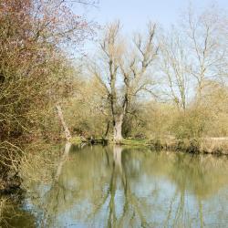 Kidlington 61 hotels