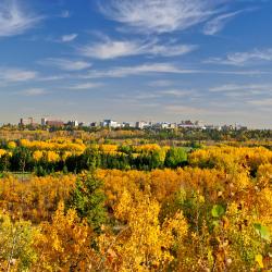 Sherwood Park 7 hotels with pools