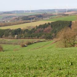 Walsrode 4 glampingpladser