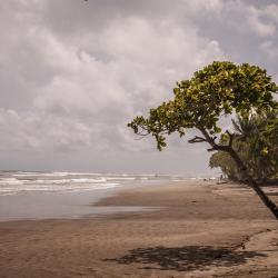 Esterillos Este 4 beach rentals