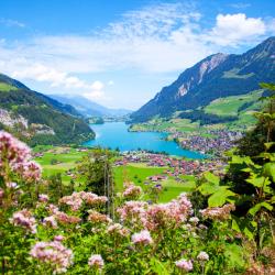 Lungern 6 holiday rentals