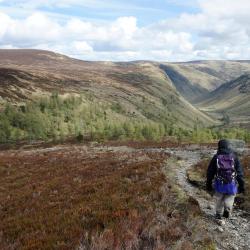Forres 22 holiday rentals