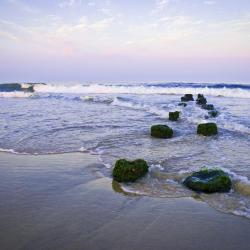 Belmar 7 of the cottages