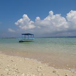 Neil Island 9 resorts