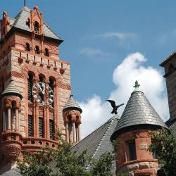 Waxahachie 5 vacation rentals