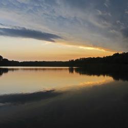 Canyon Lake 127 hotels