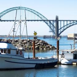 Newport 142 hotels