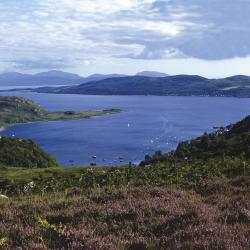 Rothesay 3 guest houses