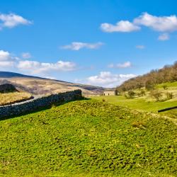 Middleham 28 holiday homes