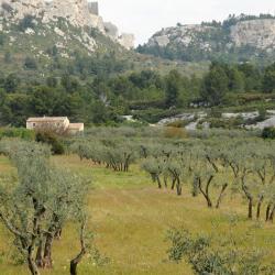 Maussane-les-Alpilles 9 hôtels de luxe