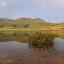 Underberg 3 guest houses
