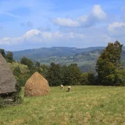 Săcele 16 guest houses