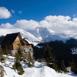 Petrosani 6 of the lodges