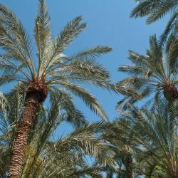 Rechovot 11 holiday rentals