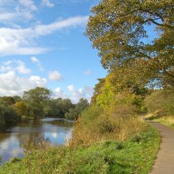 Bellshill 6 cheap hotels