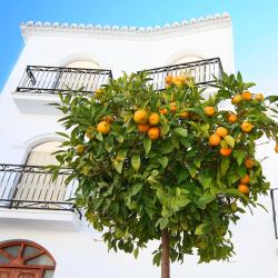 La Carolina 3 hot&eacute;is econ&ocirc;micos