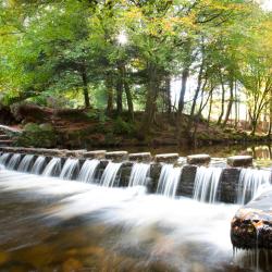 Crawfordsburn 3 hotels