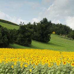 Ozzano dell'Emilia 6 vacation rentals