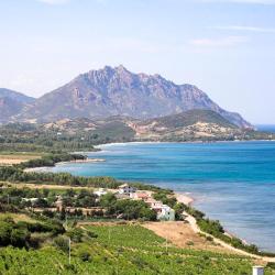 Tertenìa 58 pet-friendly hotels