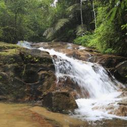 Kluang 116 hotels with parking