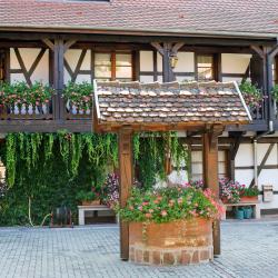 Entzheim 8 hotels